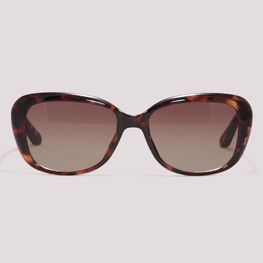 Bulget BG8103 G21 Marrom Mesclado Marrom Degradê - Sol - 54 mm