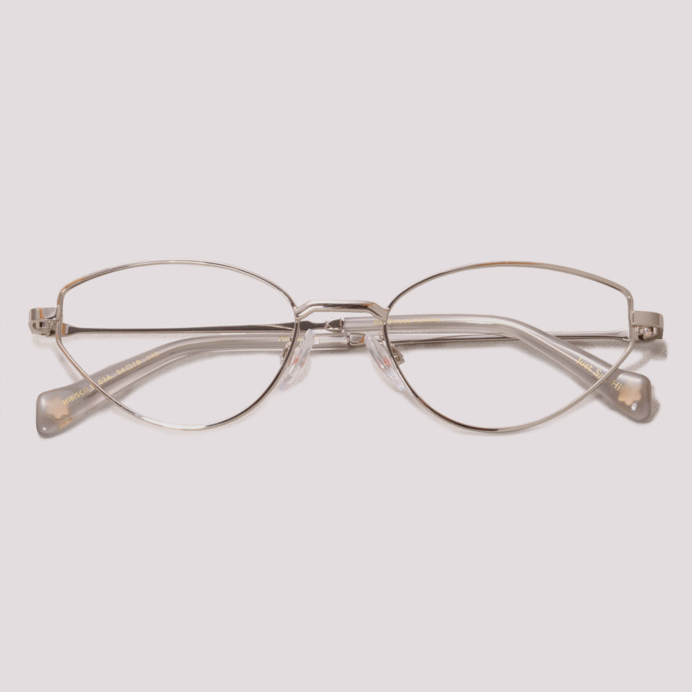 Hickmann Hibisco 1 03A Prata Brilho - Grau - 53 mm