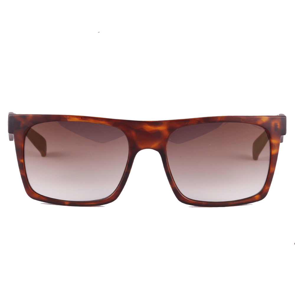Óculos de Sol Evoke EVK 22 G22S DEMI MATTE GOLD/ GOLD FLASH