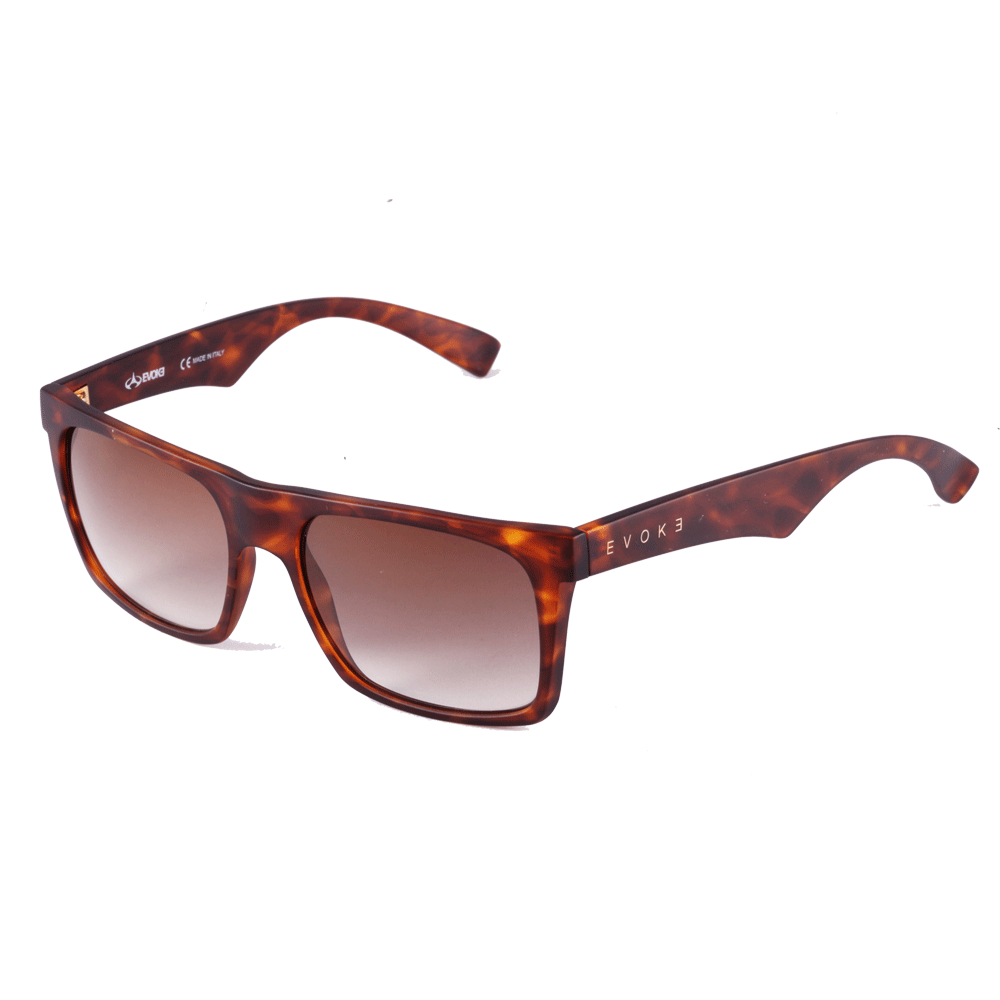 Óculos de Sol Evoke EVK 22 G22S DEMI MATTE GOLD/ GOLD FLASH