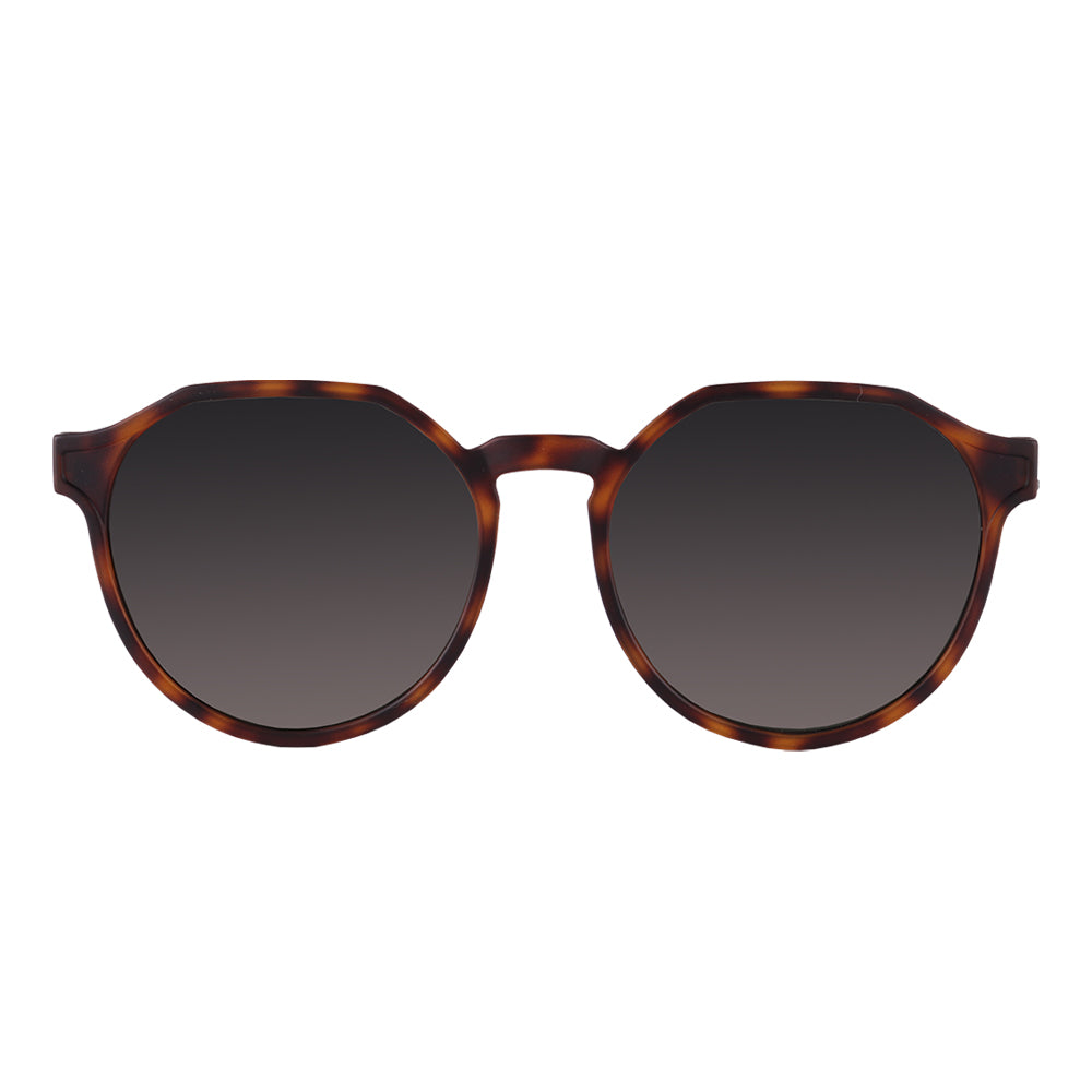 Colcci Noa 2 Marrom Mesclado Fosco/ Verde G15 - Sol
