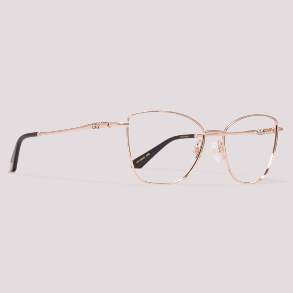 Ana Hickmann AH10049 04B Dourado - Grau - 54 mm
