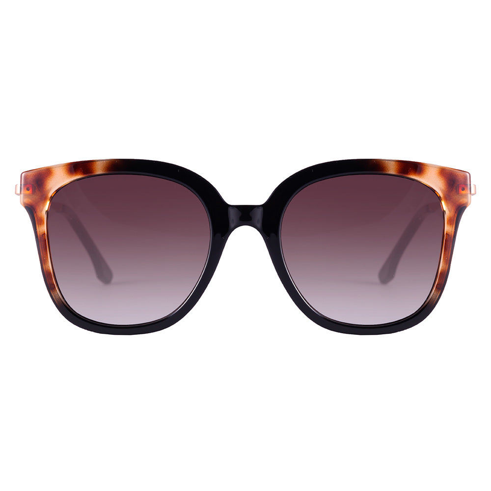 Colcci Sara gatinho Preto e Marrom Mesclado Brilho/ Marrom Degradê - Solar - TAM 51 mm