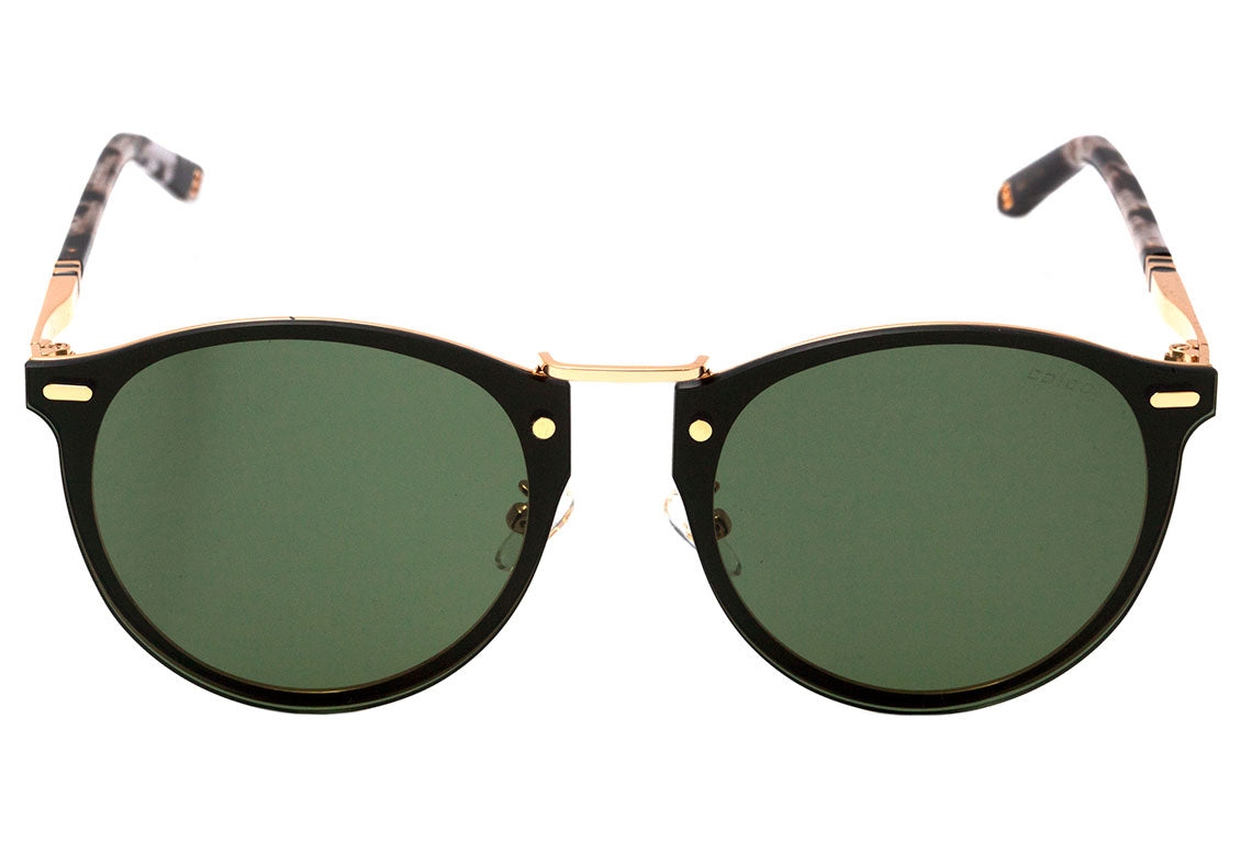 Óculos de Sol Colcci C0098 - oculosshop
