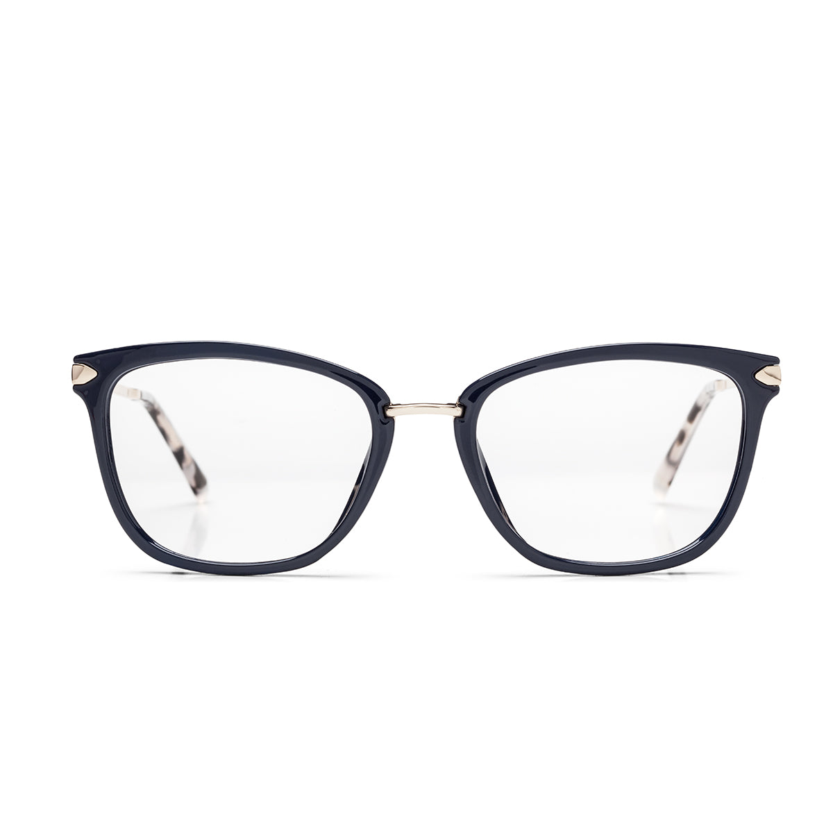 Óculos de Grau Colcci Anna AZUL MARINHO BRILHO 54 mm