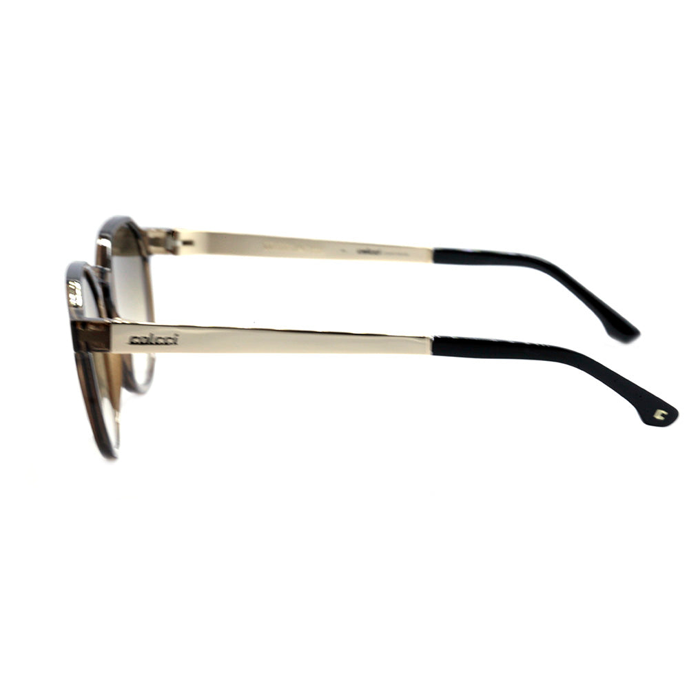 Colcci Noa Marrom Translúcido / Marrom Degradê Unico - 53 mm