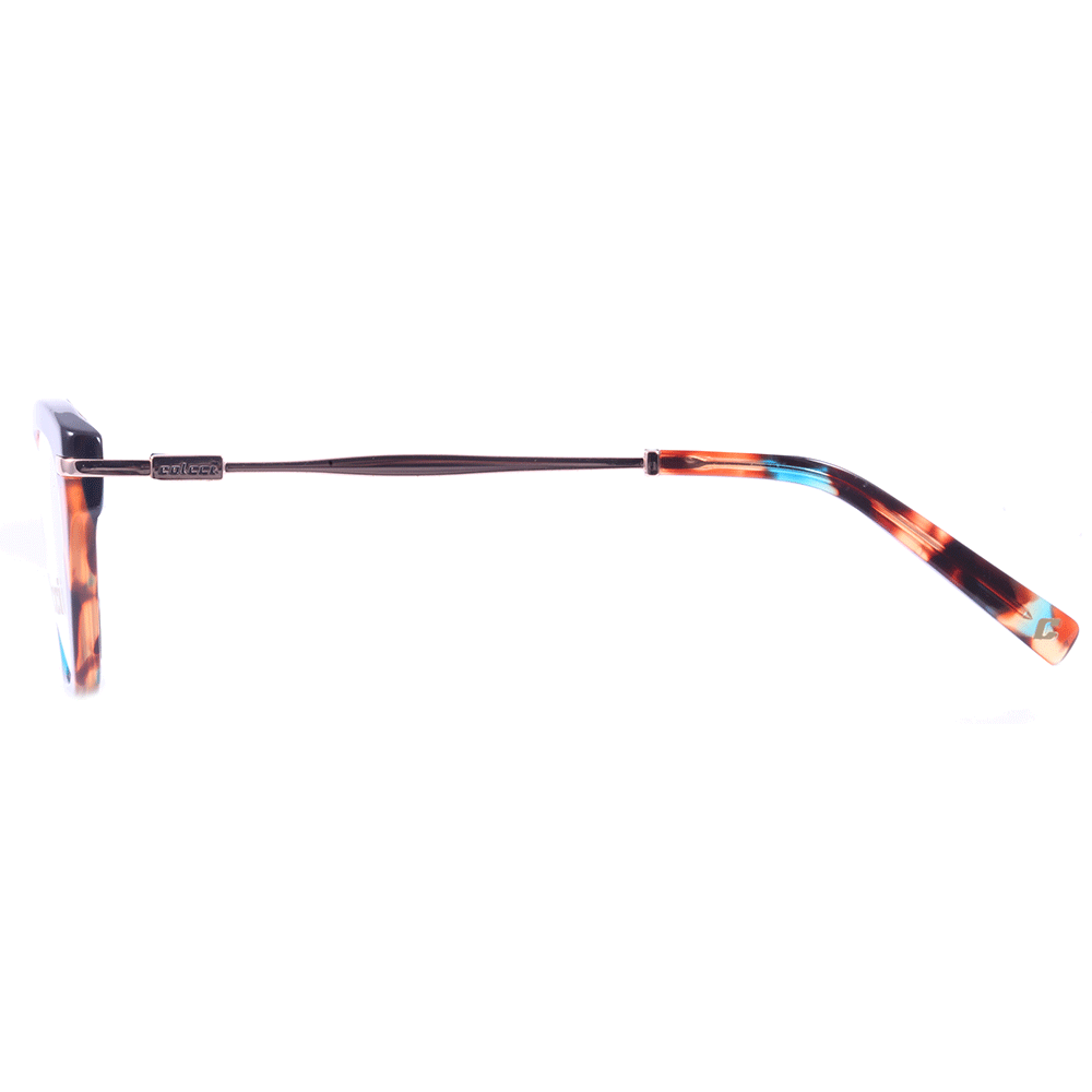 Óculos de Grau Colcci C6089 Marrom e Azul Mesclado Brilho - 51 mm