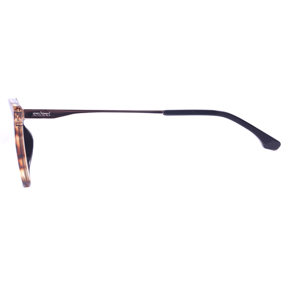 Clip On Colcci Bandy 4 Marrom Mesclado e Preto Brilho/ Marrom Degradê- Lente 5,7 cm - Grau