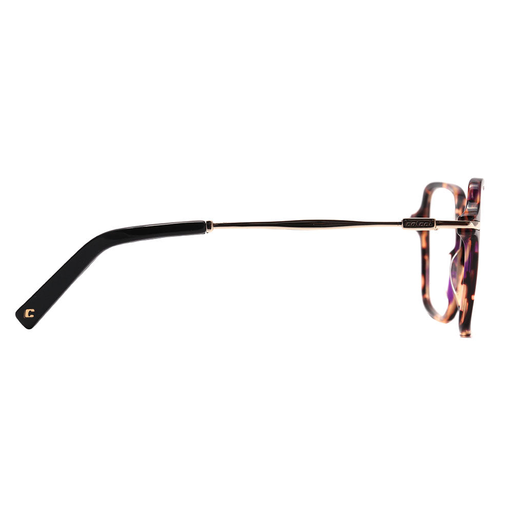 Colcci Louise Marrom Mesclado e Dourado Brilho - 58 mm