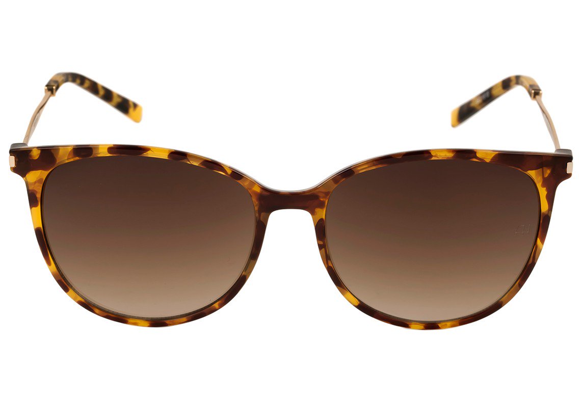 Ana Hickmann Ah 5001 G21 Marrom Mesclado E Dourado Brilho/ Marrom Degradê - Lente 5,6 Cm