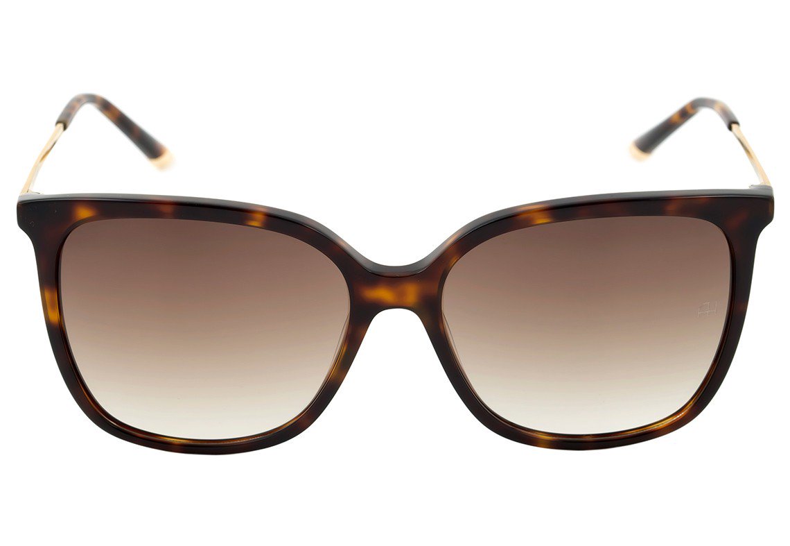 Ana Hickmann Ah 9235 G21 Marrom Mesclado E Dourado Brilho/ Marrom Degradê - Lente 5,5 Cm - Sol