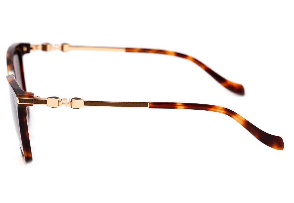 Óculos de Sol Ana Hickmann Ah 9276 G21 Marrom Mesclado Brilho/ Marrom Degradê 54 mm