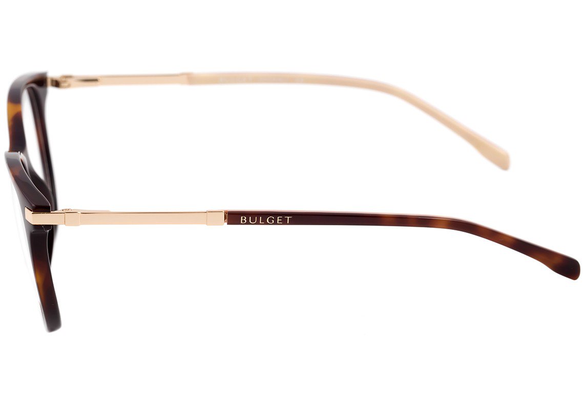 Óculos de Grau Bulget Bg 4042 G21 Marrom Mesclado E Dourado Brilho - 53 mm