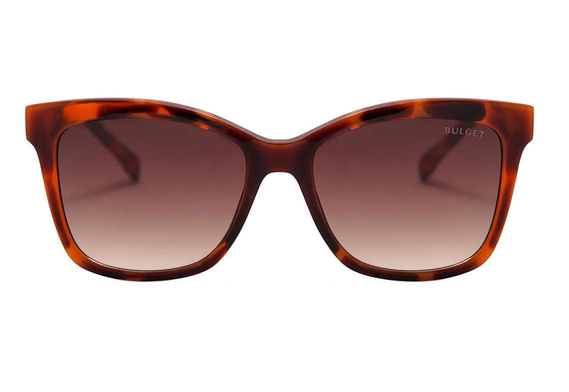 BULGET BG 9100 I - ÓCULOS DE SOL G21 MARROM MESCLADO BRILHO/ MARROM DEGRADÊ Lente 5,4 cm