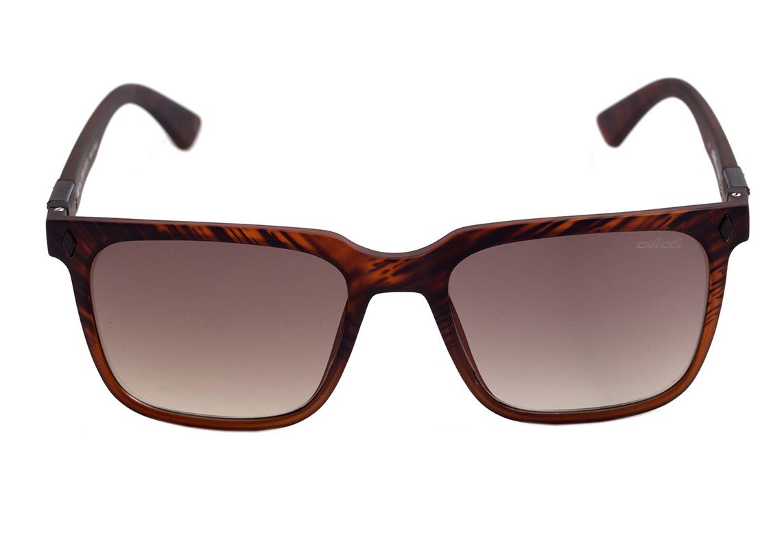 Óculos de Sol Colcci Ark Marrom Mesclado Fosco/ Marrom Degradê