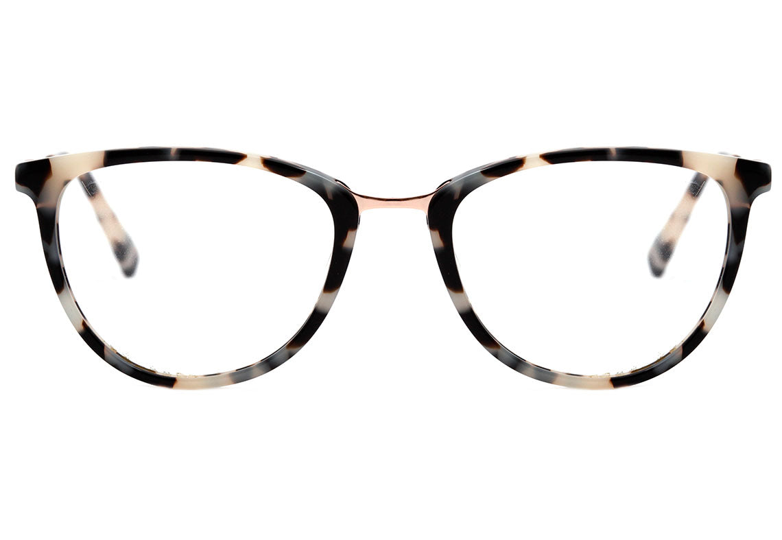 Óculos de Grau Colcci C6110 - oculosshop