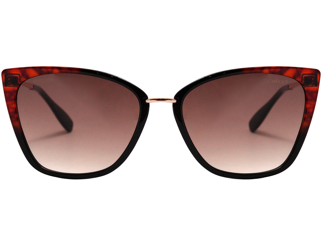 Colcci Aretha Preto e Marrom Translúcido Brilho / Marrom Degradê Unico - Lente 5,7 cm - Sol