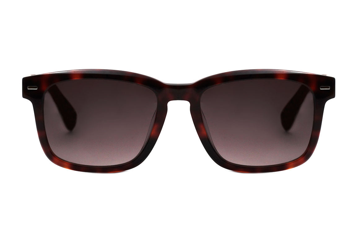 Evoke Native 3 G21 Turtle Shine Temple Wood / Brown Gradient Unico - 55 mm