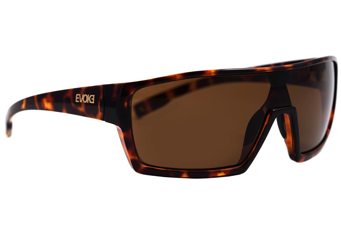 Óculos de Sol Evoke Bionic Beta - Black Shine/ Gray