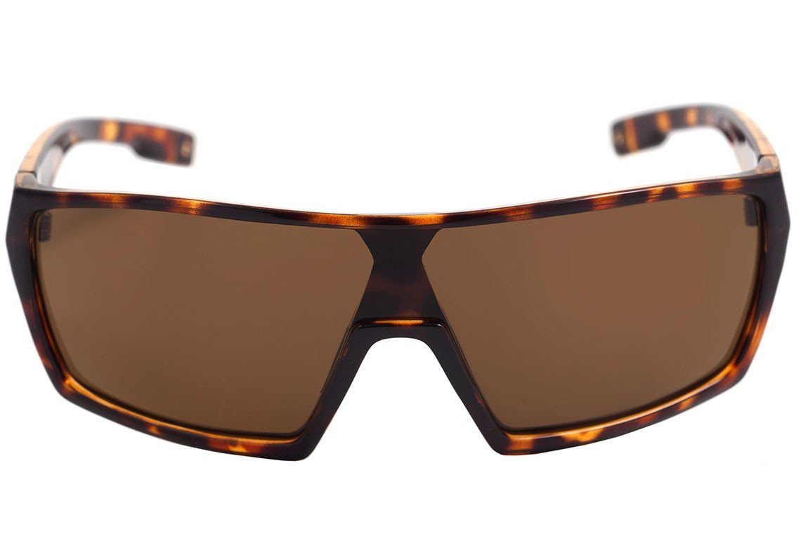 Óculos de Sol Evoke Bionic Beta - Gray Crystal/ Gray