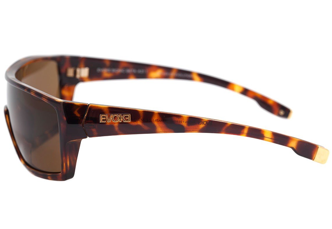 Óculos de Sol Evoke Bionic Beta - Gray Crystal/ Gray