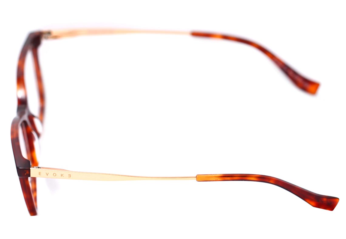 Evoke For You DX19 G21 Turtle Shine Temple Gold - Lente 5,3 cm - Grau