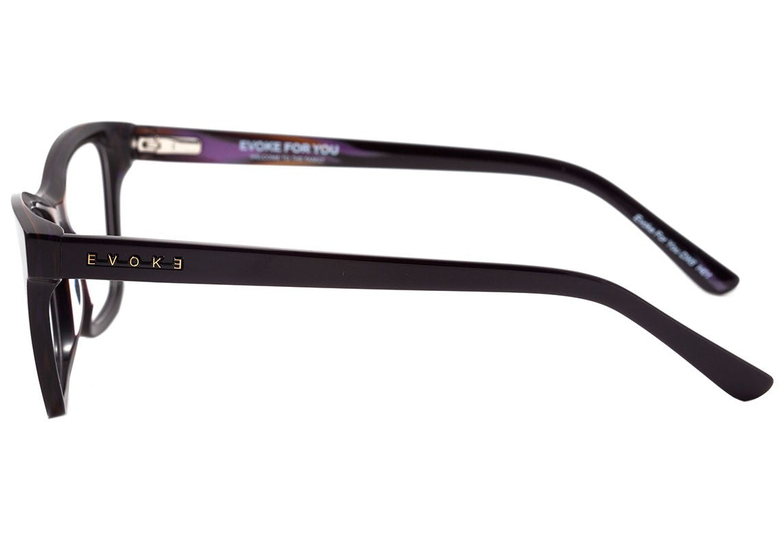 Óculos de Grau Evoke For You Dx6 D01 Brown Shine - Lente 5,3 cm - Oculos Shop