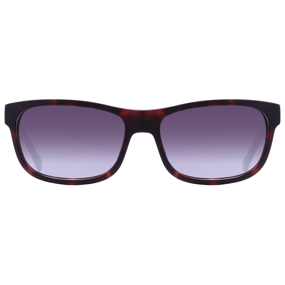 Óculos de Sol Evoke On The Rocks Iii G21S Matte Turtle Temple Blue/ Gray Degradê - Oculos Shop