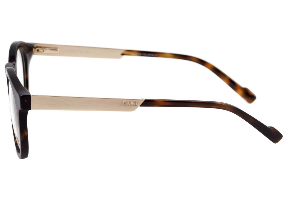 Evoke Volt 04 G21 Turtle / Gold - 49 mm - Grau