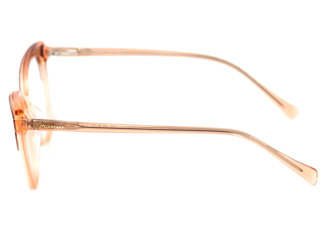 Hickmann HI 6132 B H01 Marrom Brilho e Translúcido Fosco - Lente 5,3 cm