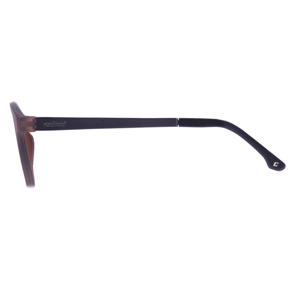 Colcci Apolo Marrom Translúcido Fosco/ Marrom - Lente 5,6 cm - Sol