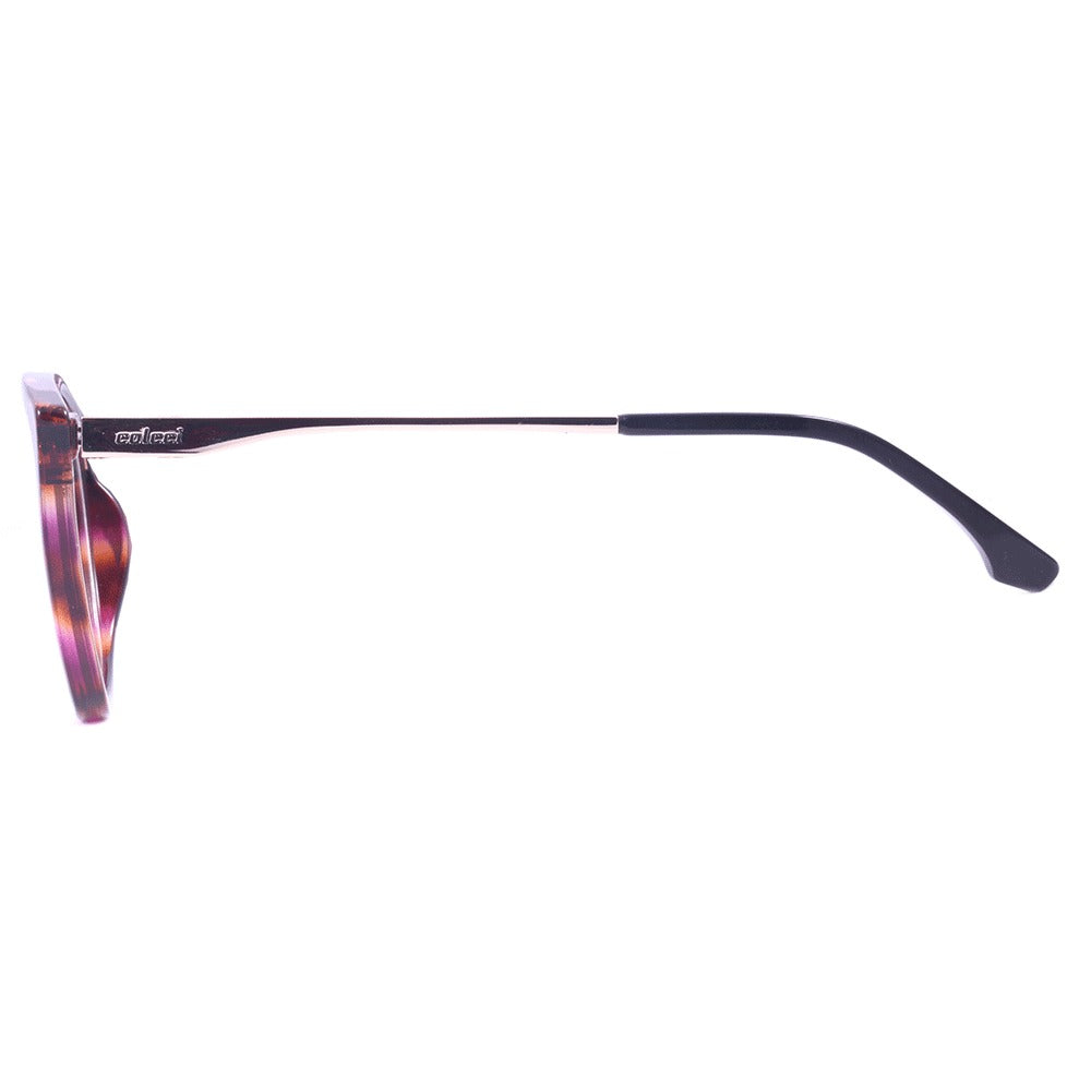 Clip On Colcci Bandy 4 Marrom Mesclado Brilho/ Preto - Lente 5,7 cm - Grau