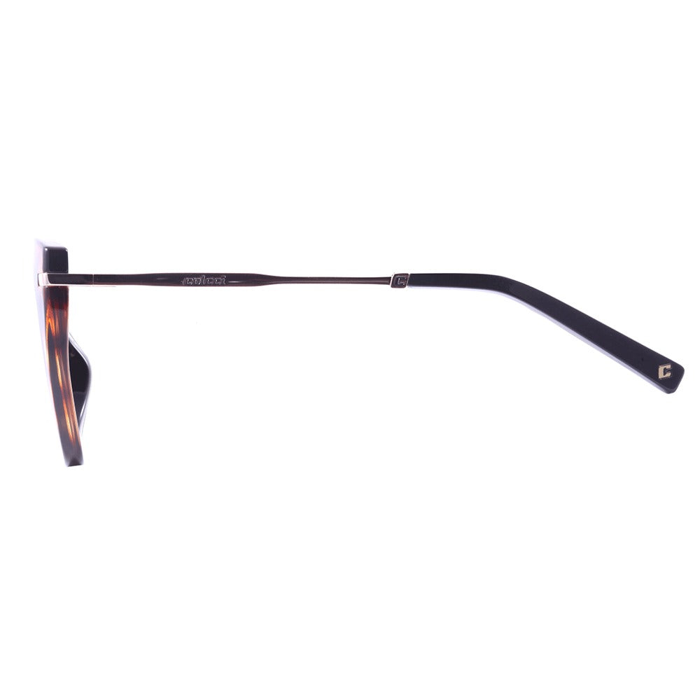 Colcci Karen Preto e Marrom Mesclado/ Preto degradê 4,8 cm - Sol