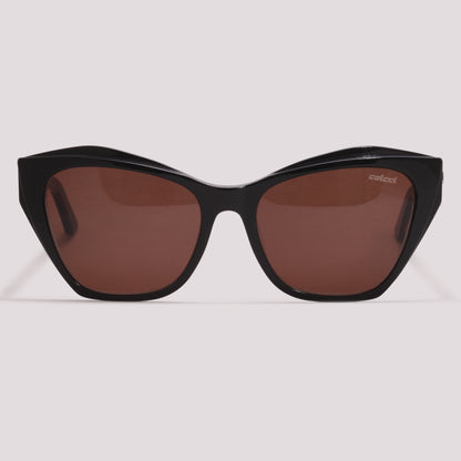 Colcci Luiza Sun Preto Brilho e Roxo Mesclado Marrom - Sol - 55 mm