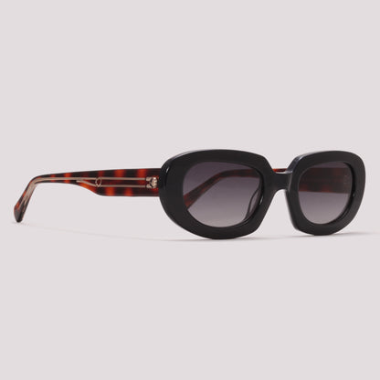 Anima Sou Destemida A01 Preto Brilho e Marrom Mesclado - Sol - 50 mm