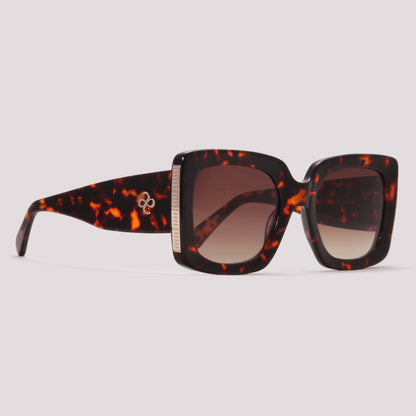 Anima Sou Meticulosa G21 Marrom Mesclado Marrom Degradê - Sol - 53 mm