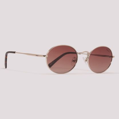 Colcci C0300 Dourado Brilho e Marrom Mesclado Marrom Degradê - Sol - 53 mm