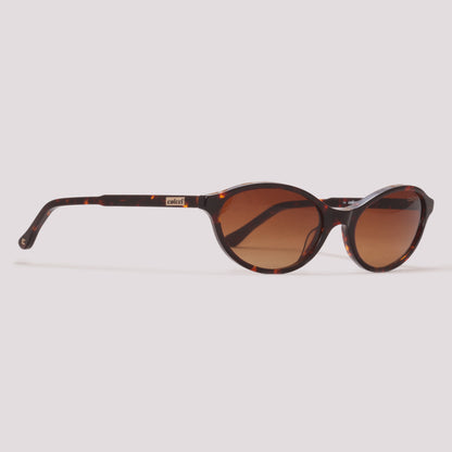 Colcci Charlotte Sun Marrom Mesclado Brilho Marrom Degradê - Sol - 53 mm