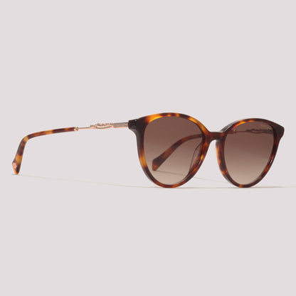 Hickmann Acacia 19 G21 Dourado Marrom Mesclado Brilho Marrom Degradê - Sol - 55 mm