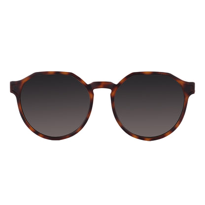 Colcci Noa 2 Marrom Mesclado Fosco/ Verde G15  - Sol