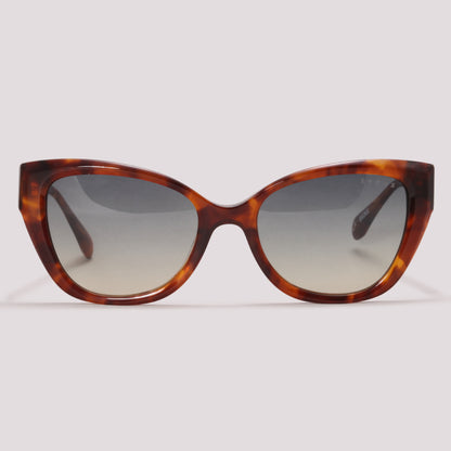 Evoke EVK 43 G22 Marrom Mesclado Brilho Verde Degradê - Sol - 52 mm