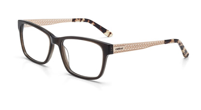 Óculos de Grau Colcci C6065 Vinho E Dourado Brilho - Lente 5,2 Cm