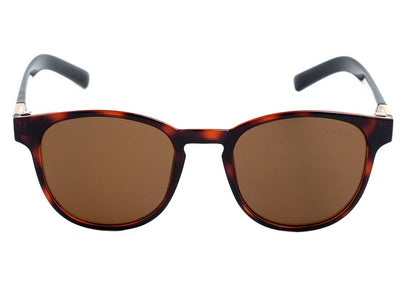 Óculos de Sol Colcci Bowie Marrom Mesclado E Preto Brilho/ Marrom