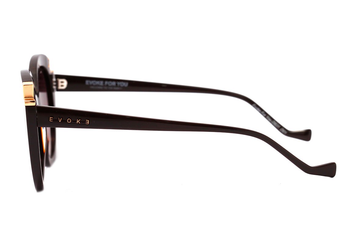 Evoke For You DS31 D01 Brown Shine / Brown Degradê Unico - 53 mm