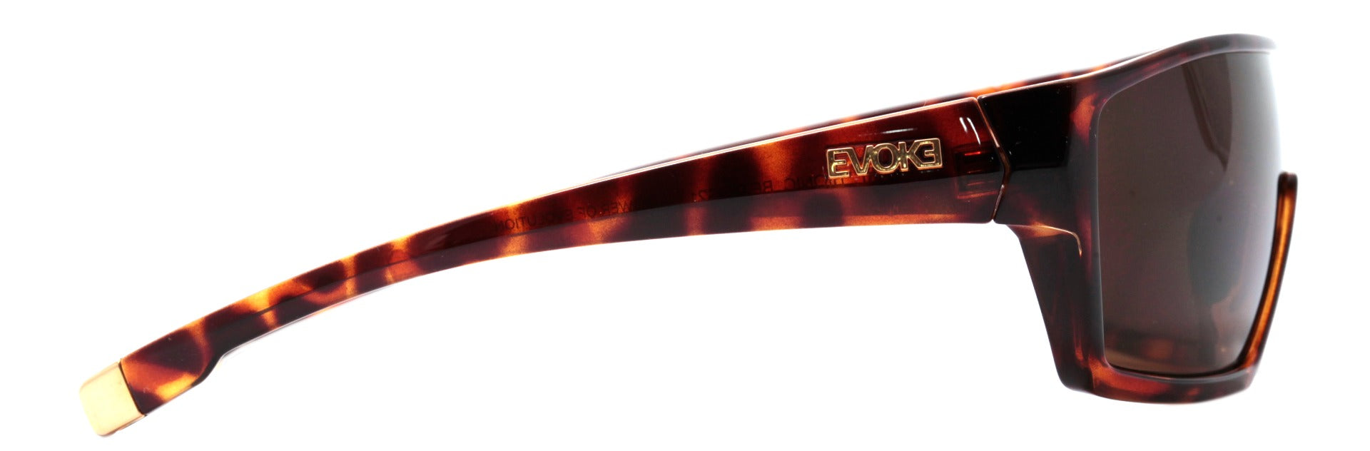 EVOKE BIONIC - ÓCULOS DE SOL BETA - G21 TURTLE SHINE GOLD/ BROWN UNICO